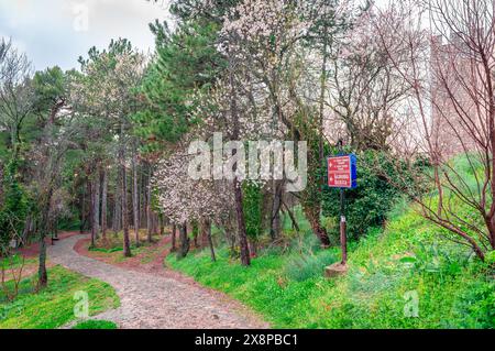 Der Weg von der Samuel-Festung (im Hintergrund rechts) zur Kirche der Heiligen Clemens und Panteleimon in Ohrid, Nordmakedonien. Stockfoto