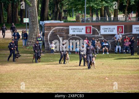 Vigo, Pontevedra, Spanien; 26. Mai 2024; Hundeparade der Vereinigung der Hundeführer der Nationalpolizei in einer Ausstellung im Cast Stockfoto