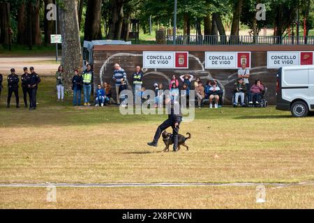 Vigo, Pontevedra, Spanien; 26. Mai 2024; Hundeparade der Vereinigung der Hundeführer der Nationalpolizei in einer Ausstellung im Cast Stockfoto