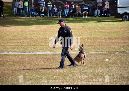 Vigo, Pontevedra, Spanien; 26. Mai 2024; Hundeparade der Vereinigung der Hundeführer der Nationalpolizei in einer Ausstellung im Cast Stockfoto