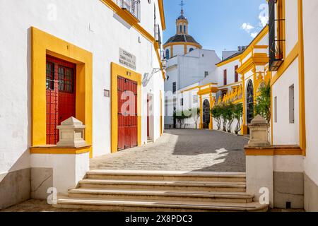 Stierkampfarena der echten Maestranza de Caballería von Sevilla, im Viertel Arenal, neben dem Fluss Guadalquivir Stockfoto