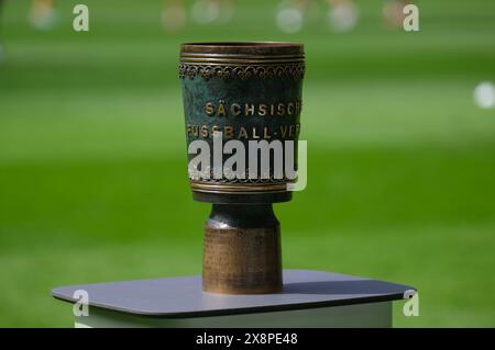 Dresden, Deutschland. Mai 2024. Fußball: Sachsen Cup, SG Dynamo Dresden - FC Erzgebirge Aue, Finale, Rudolf-Harbig-Stadion. Der Becher steht auf einem Tisch. Robert Michael/dpa/Alamy Live News Stockfoto