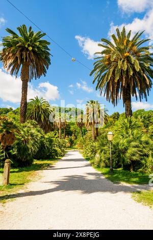 Botanischer Garten von Rom, gelegen an den Hängen des Janiculum, im alten Park der Villa Corsini, einst Residenz von Christina von Schweden. Die Struktur hängt vom Institut für Umweltbiologie der Universität Rom „La Sapienza“ in Rom, Italien, ab Stockfoto