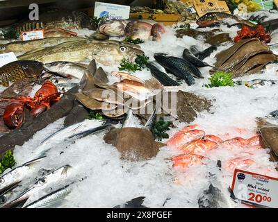 IJmuiden, Niederlande. Mai 2024. Frischer Fisch und Meeresfrüchte auf dem Fischmarkt in IJmuiden. Hochwertige Fotos Stockfoto