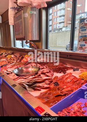 IJmuiden, Niederlande. Mai 2024. Frischer Fisch und Meeresfrüchte auf dem Fischmarkt in IJmuiden. Hochwertige Fotos Stockfoto