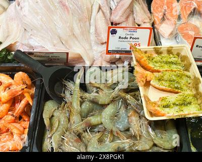 IJmuiden, Niederlande. Mai 2024. Frischer Fisch und Meeresfrüchte auf dem Fischmarkt in IJmuiden. Hochwertige Fotos Stockfoto