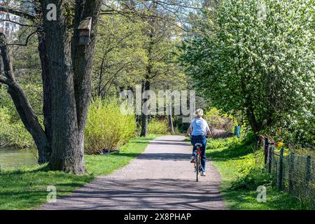 Radfahrer im Wasserpark Åbackarna entlang des Motala Stream im Frühling in Norrköping, Schweden Stockfoto