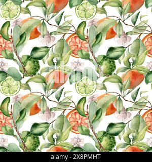 Laub mit verschiedenen Zitrusfrüchten und weißen Blumen nahtloses Aquarellmuster isoliert auf weiß. Handgezeichnete Grapefruit im botanischen Skizzenstil Stockfoto