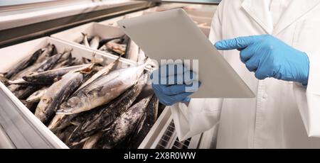 Lebensmittelqualitätskontrollspezialist untersucht Fisch im Supermarkt, Nahaufnahme. Bannerdesign Stockfoto