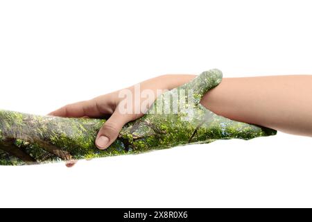 Doppelbelichtung von Mann und Frau und Baum mit grünen Blättern auf weißem Hintergrund, Nahaufnahme Stockfoto