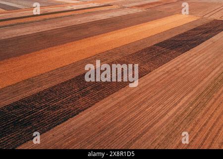 Luftaufnahme des landwirtschaftlich genutzten Feldes mit wunderschönem farbenfrohen Muster aus Drohnen-pov, Hochwinkelansicht Stockfoto