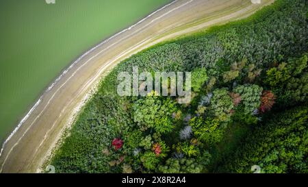 Vogelperspektive der farbenfrohen Baumkronen und Wasserstraßen in Woolwich, Ontario Stockfoto