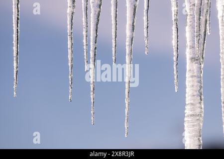 Nahaufnahme von Eiszapfen, die an einem klaren Winterhimmel hängen Stockfoto