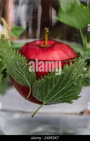 Wasserkaraffe mit Kräutern, Apfel, Wassertröpfchen Stockfoto