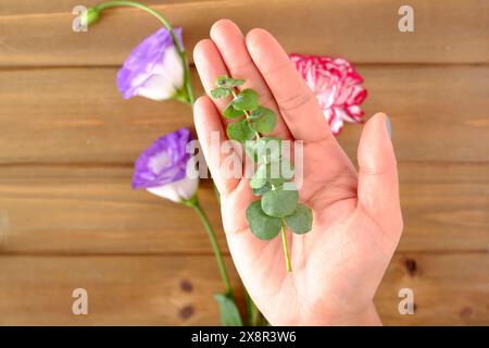 Hand hält Eukalyptus mit bunten Blumen Stockfoto
