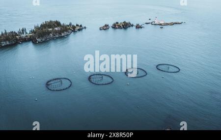 Lachsfarm und Leuchtturm, Campobello Island, New Brunswick Stockfoto