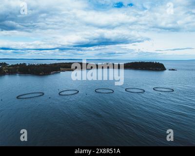 Die industrielle Lachsfarm ist vor Campobello Island, Kanada, beheimatet Stockfoto