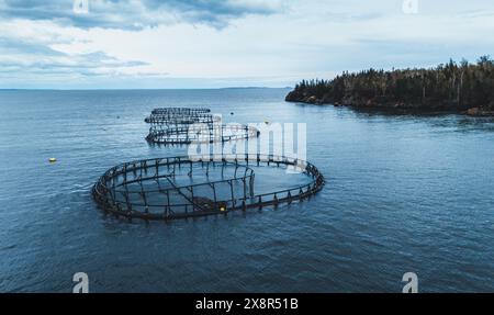 Netze und Käfige einer Atlantischen Lachsfischfarm in New Brunswick, Kanada Stockfoto