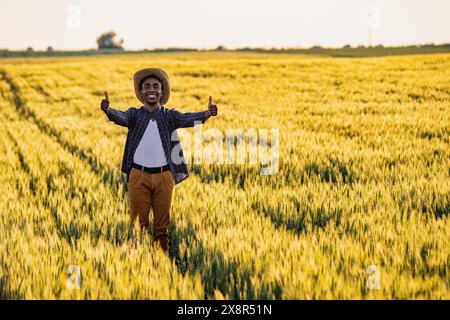 Afrikanischer Bauer steht auf seinem wachsenden Weizenfeld. Er ist zufrieden mit dem Fortschritt der Pflanzen. Stockfoto