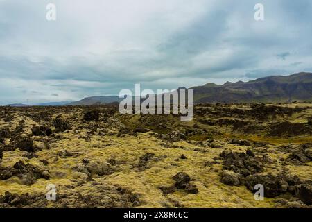 Moosbedeckte Lavafelder in Island. Stockfoto