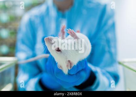 Produktionslinie Pharmaindustrie. Herstellung von Medikamenten und Medikamenten, Pharmazeutika. Techniker, Wissenschaftler arbeiten in einem wissenschaftlichen Labor Stockfoto