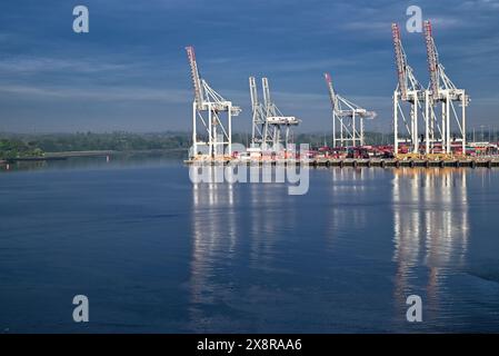 Dockside-Krane am Containerterminal auf Southampton Water in der frühen Morgensonne. Stockfoto