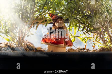 Ein Zwerg sitzt auf einem roten Pilz. Der Zwerg trägt einen Hut und hat einen Bart. Der Pilz ist von grünen Blättern umgeben. Dekoration in einer Blume p Stockfoto