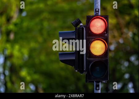 Bremsleuchten zeigen tagsüber rote und gelbe Signale vor einem Hintergrund grüner Bäume an. Stockfoto