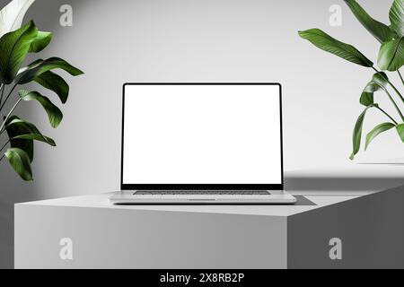 Laptop mit leerem Bildschirm auf einem schlanken weißen abstrakten Würfel. Grüne Pflanzen und neutraler Hintergrund. Stockfoto