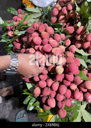 Kunde, der Litchi in bangladesch kauft. Dieses Foto wurde aus Chittagong, Bangladesch, aufgenommen. Stockfoto