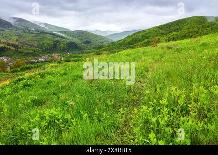 Ländliche Landschaft in karpaten der ukraine. alpine Landschaft mit grasbewachsenen Wiesen und bewaldeten Hügeln im Frühling. Malerische Aussicht o Stockfoto