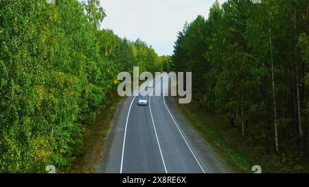 Flug über die Straße im Wald. Filmmaterial. Sommer grüne Vegetation in der ländlichen Gegend. Stockfoto