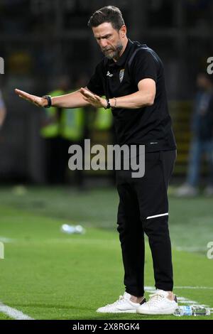 Eusebio Di Francesco, Cheftrainer von Frosinone, reagiert während des Fußballspiels der Serie A zwischen Frosinone Calcio und Udinese Calcio im Benito Stirpe-Stadion in Frosinone (Italien) am 26. Mai 2024. Stockfoto