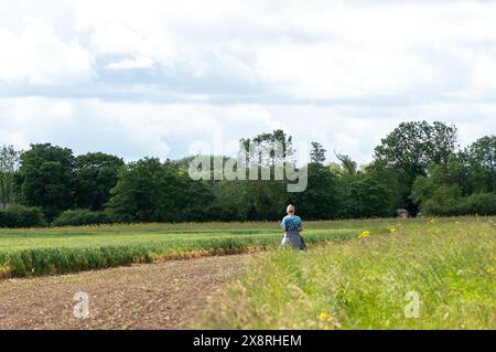 Eton Wick, Windsor, Großbritannien. Mai 2024. Es war ein schöner sonniger Tag in Eton Wick, Windsor, Berkshire, als Spaziergänger unterwegs waren und die ländliche Landschaft genossen. Quelle: Maureen McLean/Alamy Live News Stockfoto