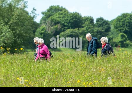 Eton Wick, Windsor, Großbritannien. Mai 2024. Es war ein schöner sonniger Tag in Eton Wick, Windsor, Berkshire, als Spaziergänger unterwegs waren und die ländliche Landschaft genossen. Quelle: Maureen McLean/Alamy Live News Stockfoto