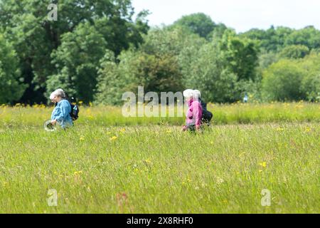 Eton Wick, Windsor, Großbritannien. Mai 2024. Es war ein schöner sonniger Tag in Eton Wick, Windsor, Berkshire, als Spaziergänger unterwegs waren und die ländliche Landschaft genossen. Quelle: Maureen McLean/Alamy Live News Stockfoto