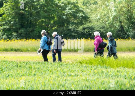 Eton Wick, Windsor, Großbritannien. Mai 2024. Es war ein schöner sonniger Tag in Eton Wick, Windsor, Berkshire, als Spaziergänger unterwegs waren und die ländliche Landschaft genossen. Quelle: Maureen McLean/Alamy Live News Stockfoto