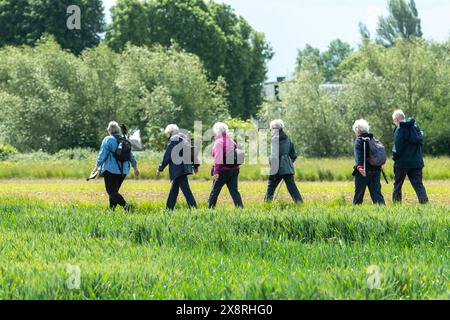 Eton Wick, Windsor, Großbritannien. Mai 2024. Es war ein schöner sonniger Tag in Eton Wick, Windsor, Berkshire, als Spaziergänger unterwegs waren und die ländliche Landschaft genossen. Quelle: Maureen McLean/Alamy Live News Stockfoto