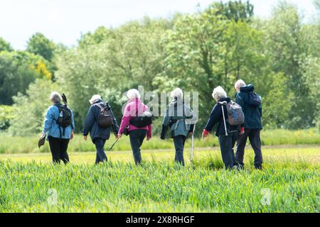 Eton Wick, Windsor, Großbritannien. Mai 2024. Es war ein schöner sonniger Tag in Eton Wick, Windsor, Berkshire, als Spaziergänger unterwegs waren und die ländliche Landschaft genossen. Quelle: Maureen McLean/Alamy Live News Stockfoto