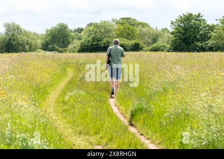 Eton Wick, Windsor, Großbritannien. Mai 2024. Es war ein schöner sonniger Tag in Eton Wick, Windsor, Berkshire, als Spaziergänger unterwegs waren und die ländliche Landschaft genossen. Quelle: Maureen McLean/Alamy Live News Stockfoto