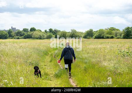 Eton Wick, Windsor, Großbritannien. Mai 2024. Es war ein schöner sonniger Tag in Eton Wick, Windsor, Berkshire, als Spaziergänger unterwegs waren und die ländliche Landschaft genossen. Quelle: Maureen McLean/Alamy Live News Stockfoto