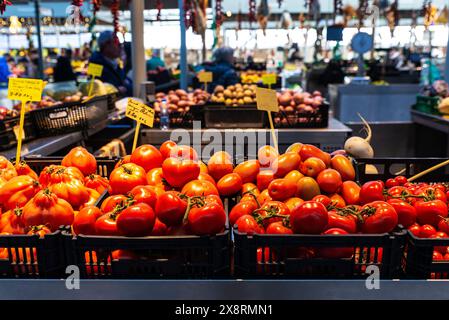 Haufen Tomaten in einem Obst- und Gemüseladen in Bolhao Markt, Street Food Markt in Porto oder Porto, Portugal Stockfoto