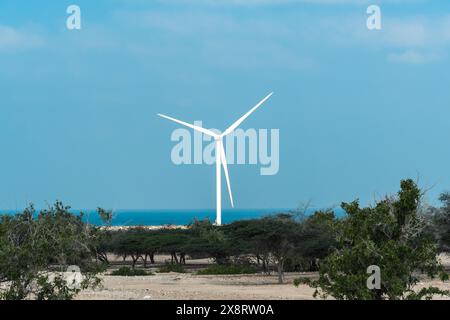 Sir Bani Yas, VAE - 5. Januar 2024: Eine einsame Windkraftanlage steht als Symbol für nachhaltige Energie in Sir Bani Yas, VAE, gegen die krasse Schönheit von Sir Bani Yas Stockfoto