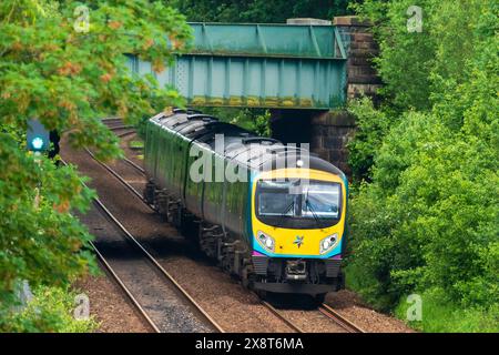 Der Trans Pennine Express-Zug fährt nach Cleethorpes. Klasse 185. Stockfoto