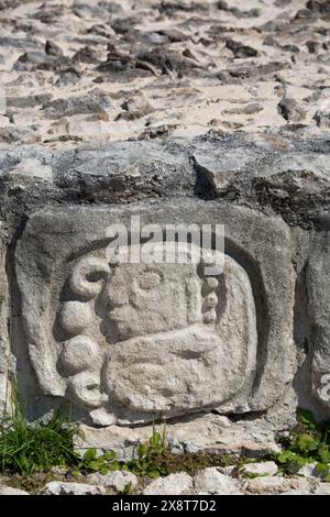 Stein gehauen Hieroglyphen, Struktur der fünf Etagen (Pisos), Edzna Maya-Ausgrabungsstätte, Campeche, Mexiko Stockfoto