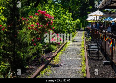 Lambertville, NJ, USA - 24.05.2024: Malerische verlassene Eisenbahn mit Rosen im Lambertville Station Restaurant Stockfoto