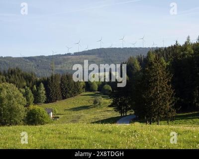 Windräder auf einem bewaldeten Berg, Windpark Pretul, bei Ratten, Steiermark, Österreich Stockfoto