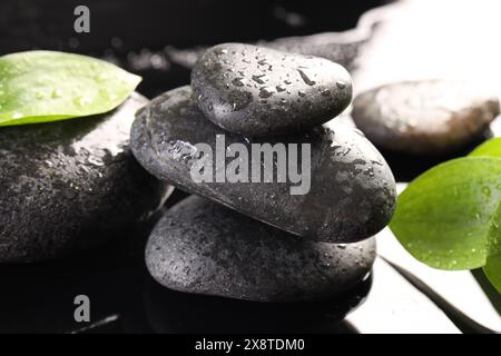 Feuchte Spa-Steine und grüne Blätter auf verschwommenem Hintergrund Stockfoto