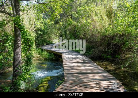 Holzsteg im Nationalpark Krka, Krka Wasserfälle, Dalmatien, Kroatien Stockfoto