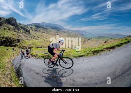 Rennradfahrerinnen klettern 33 % auf den Hardknott Pass während der fred Whitton Challenge Radsportler im englischen Lake District. Stockfoto